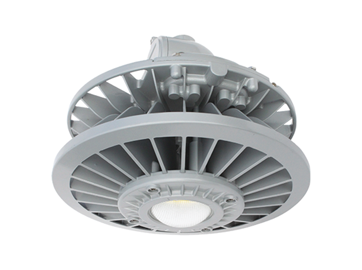 EXPLOSION PROOF FLOOD/ HIGHBAY/ STREET LIGHT